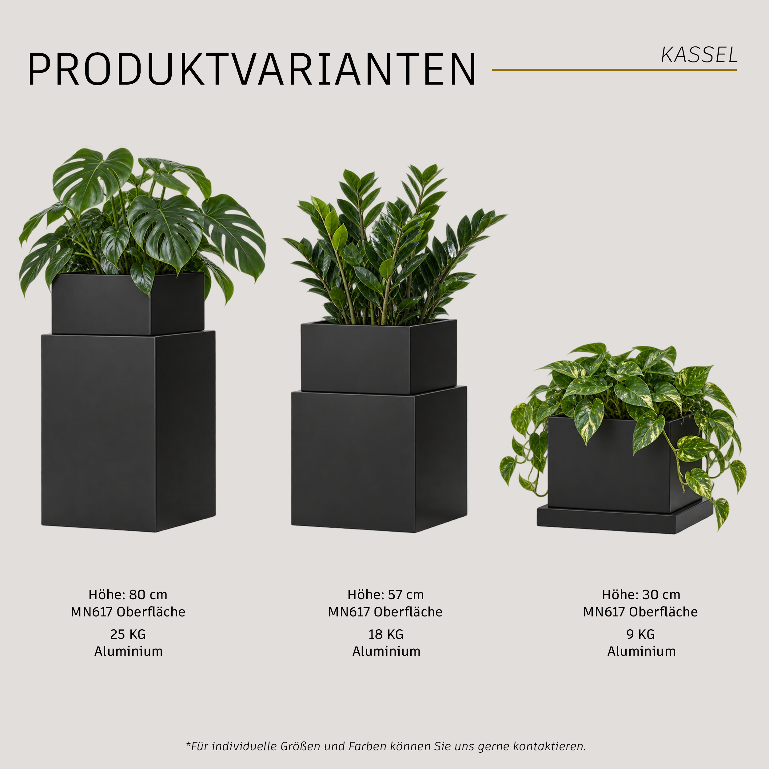 Blumenbox Kassel